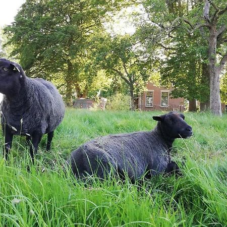 'T Pekelhuis - Vakantiehuisje Op Boerderij Huize Blokland Hem Экстерьер фото